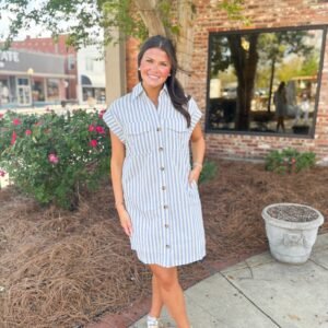 Blue Stripe Button Down Mini Dress